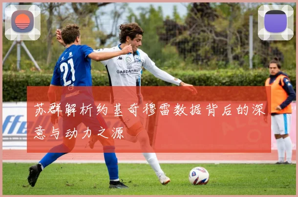 苏群解析约基奇穆雷数据背后的深意与动力之源