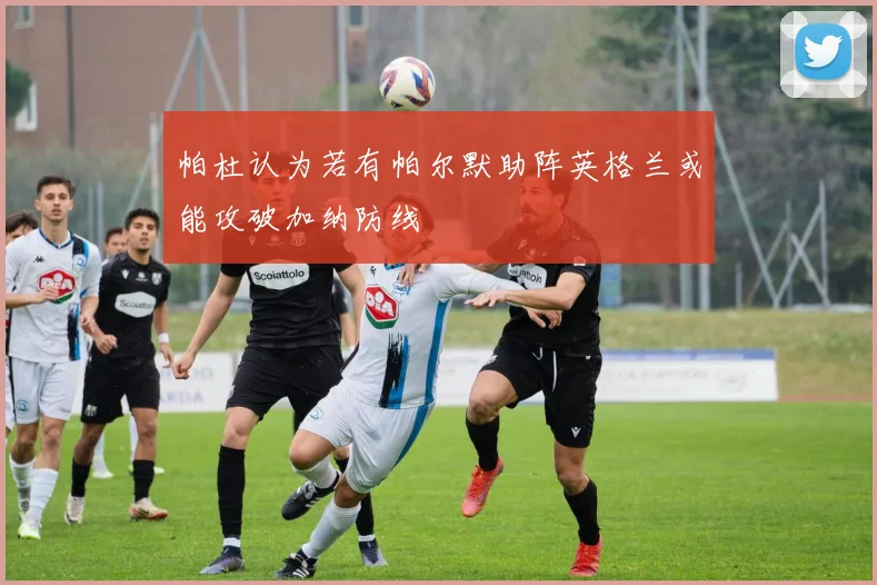 帕杜认为若有帕尔默助阵英格兰或能攻破加纳防线