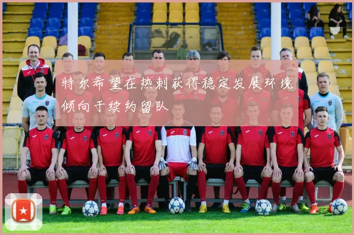 特尔希望在热刺获得稳定发展环境倾向于续约留队