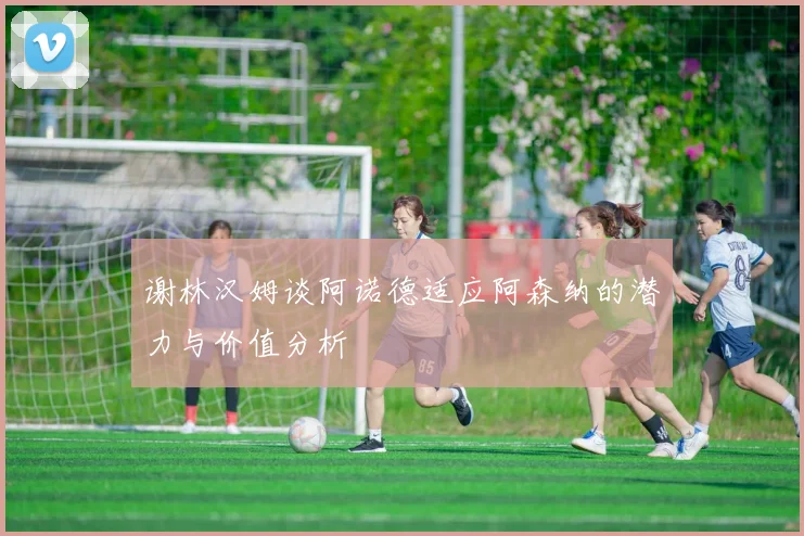 谢林汉姆谈阿诺德适应阿森纳的潜力与价值分析